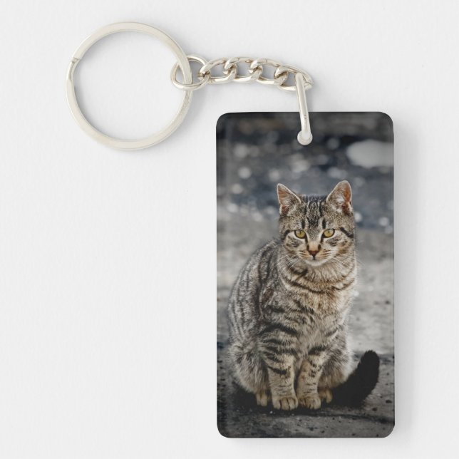 Portrait d'un chat (Devant)