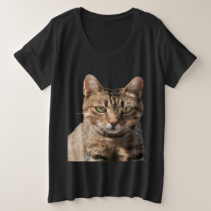 Portrait d'un chat tabby mignon avec contact visue