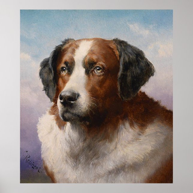 Portrait D'Un Chien De Saint Bernhard_GA - Poster (Devant)