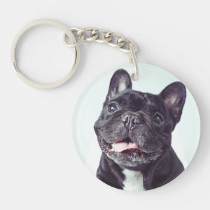 Portrait d'un joyeux Bulldog français