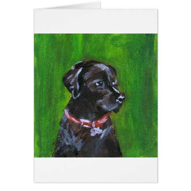 Portrait d'un Labrador noir (Devant)