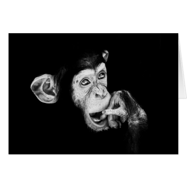 Portrait d'un penseur Chimpanzé (Devant horizontal)