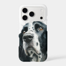 portrait d'un springer spaniel anglais avec tickin