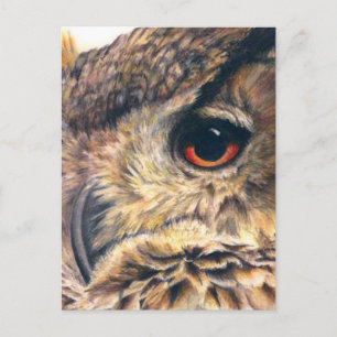 Portrait d'une carte postale de hibou de l'aigle