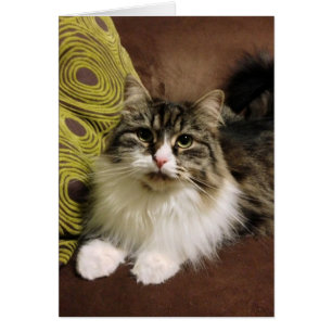 Portrait d'une carte sibérienne