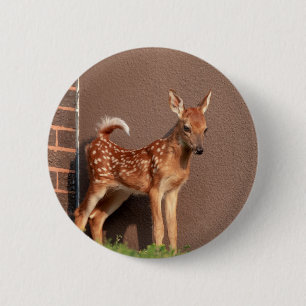 Portrait einer Faune (Weißschwanzhirsche) Button