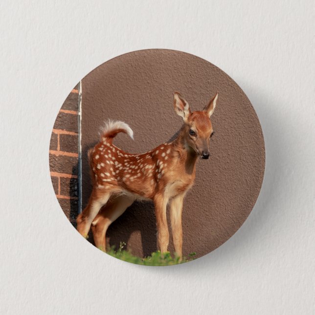 Portrait einer Faune (Weißschwanzhirsche) Button (Vorderseite)