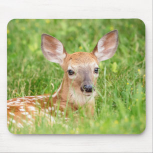 Portrait einer Faune (Weißschwanzhirsche) Mousepad