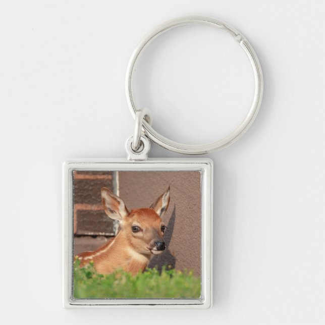 Portrait einer Faune (Weißschwanzhirsche) Schlüsselanhänger (Vorne)