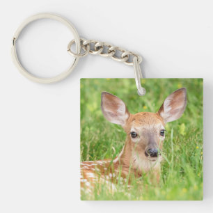 Portrait einer Faune (Weißschwanzhirsche) Schlüsselanhänger