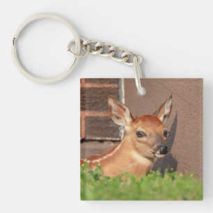 Portrait einer Faune (Weißschwanzhirsche) Schlüsselanhänger