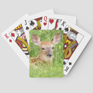 Portrait einer Faune (Weißschwanzhirsche) Spielkarten