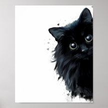 Portrait einer flauschigen schwarzen Katze