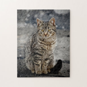 Portrait einer Katze