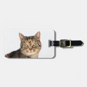 Portrait einer Katze Gepäckanhänger