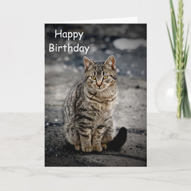 Portrait einer Katze Karte (Vorderseite)