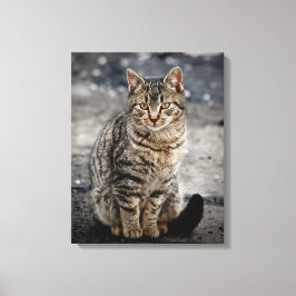 Portrait einer Katze Leinwanddruck