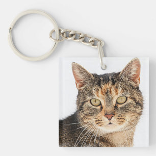 Portrait einer Katze Schlüsselanhänger