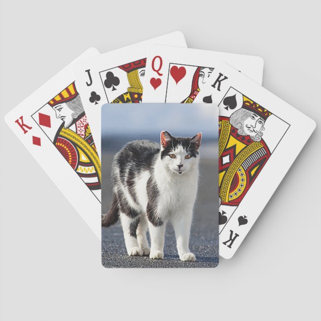Portrait einer Katze Spielkarten (Rückseite)
