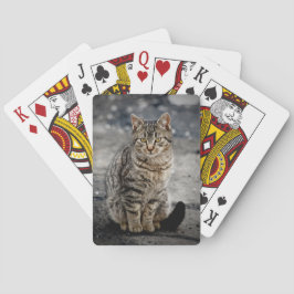Portrait einer Katze Spielkarten