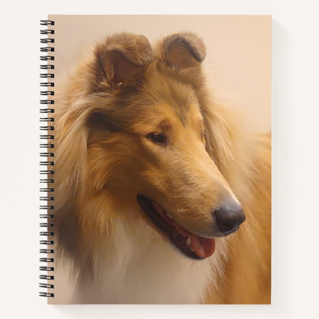 Portrait einer robusten Sable Collie Notizbuch (Vorderseite)