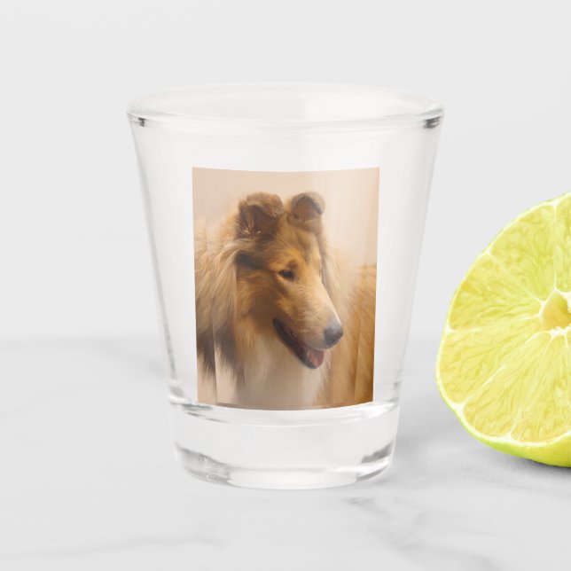 Portrait einer robusten Sable Collie Schnapsglas (Vorderseite)