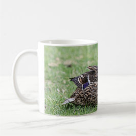 Portrait einer weiblichen Mallard Kaffeetasse