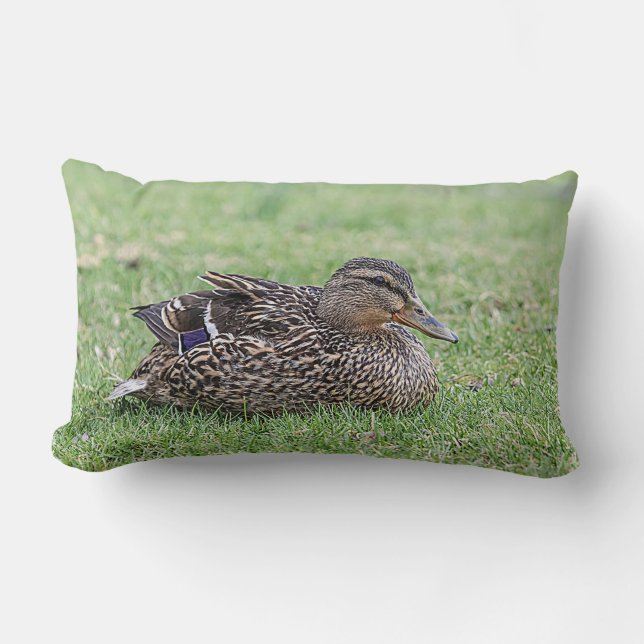 Portrait einer weiblichen Mallard Lendenkissen (Vorderseite)