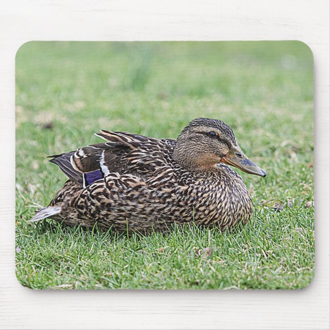 Portrait einer weiblichen Mallard Mousepad (Vorne)
