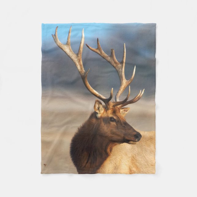 Portrait eines Atemberaubenden Bullenelchs Fleecedecke (Vorderseite)