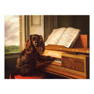 Portrait eines außergewöhnlichen musikalischen Hun Fotodruck