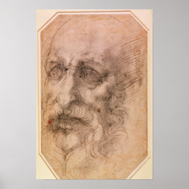 Portrait eines Barteten Poster (Vorne)