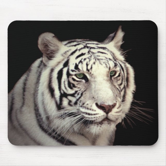 Portrait eines Bengalischen Tigers Mousepad (Vorne)