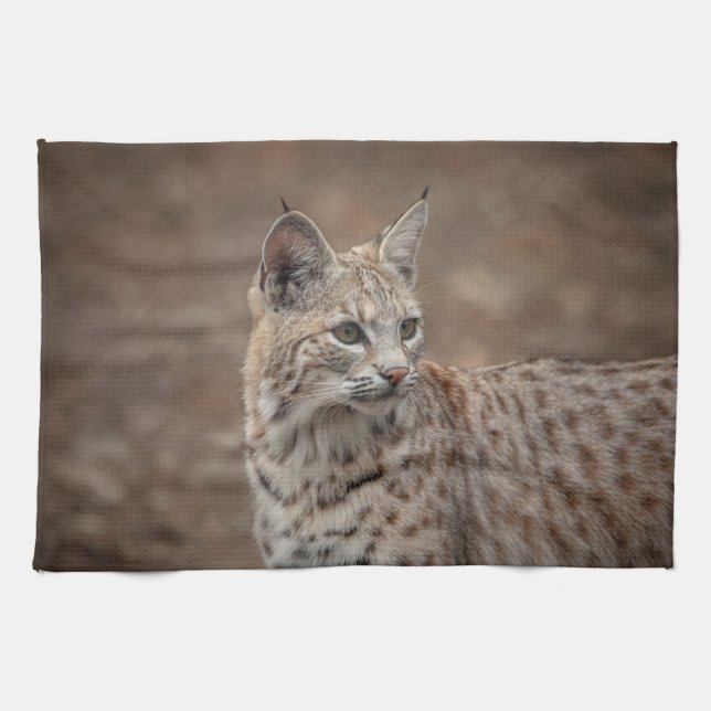 Portrait eines Bobcat Geschirrtuch (Horizontal)
