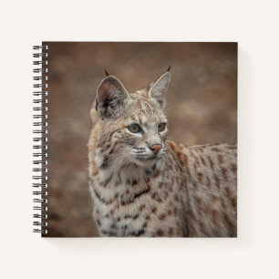 Portrait eines Bobcat Notizbuch