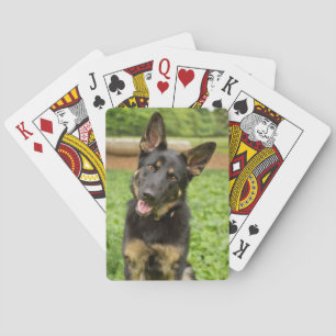Portrait eines deutschen Hirten Spielkarten