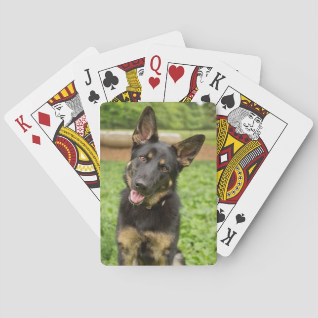Portrait eines deutschen Hirten Spielkarten (Rückseite)