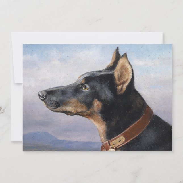 Portrait eines Doberman | Carl Reichert (Vorderseite)