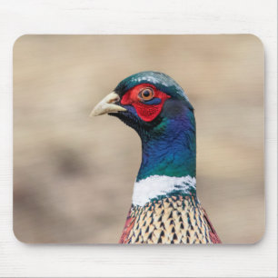 Portrait eines Fasans Mousepad