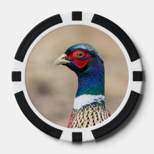 Portrait eines Fasans Pokerchips