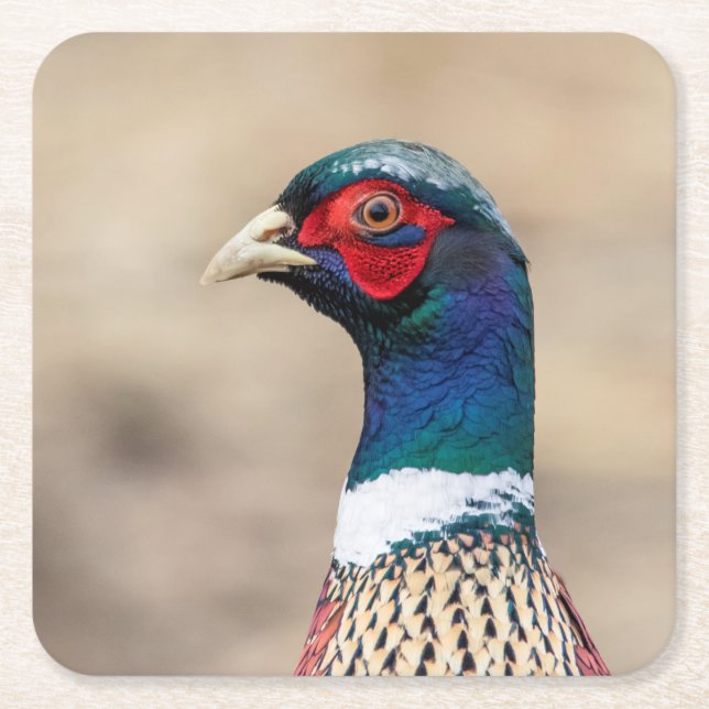 Portrait eines Fasans Rechteckiger Pappuntersetzer (Vorderseite)