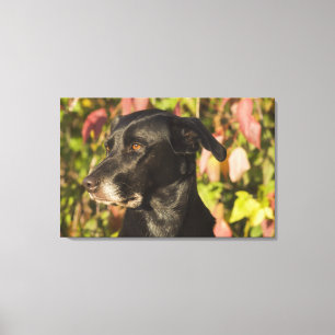 Portrait eines Hundes Leinwanddruck