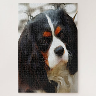 Portrait eines Königs Charles Cavalier Spaniel