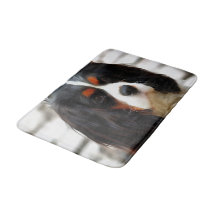 Portrait eines Königs Charles Cavalier Spaniel