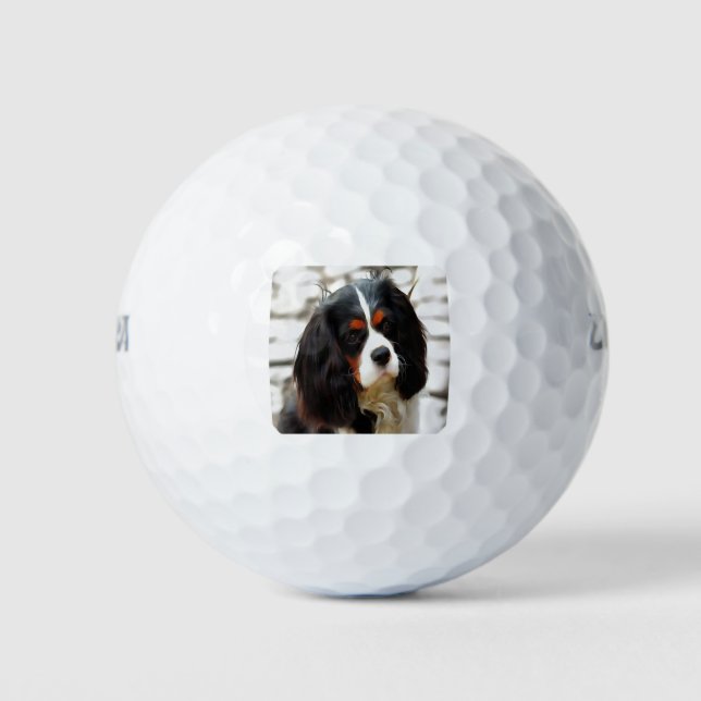 Portrait eines Königs Charles Cavalier Spaniel Golfball (Vorderseite)
