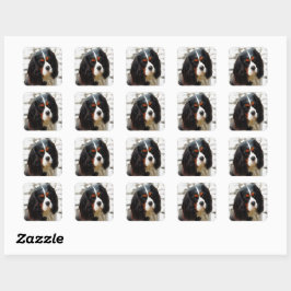 Portrait eines Königs Charles Cavalier Spaniel Quadratischer Aufkleber