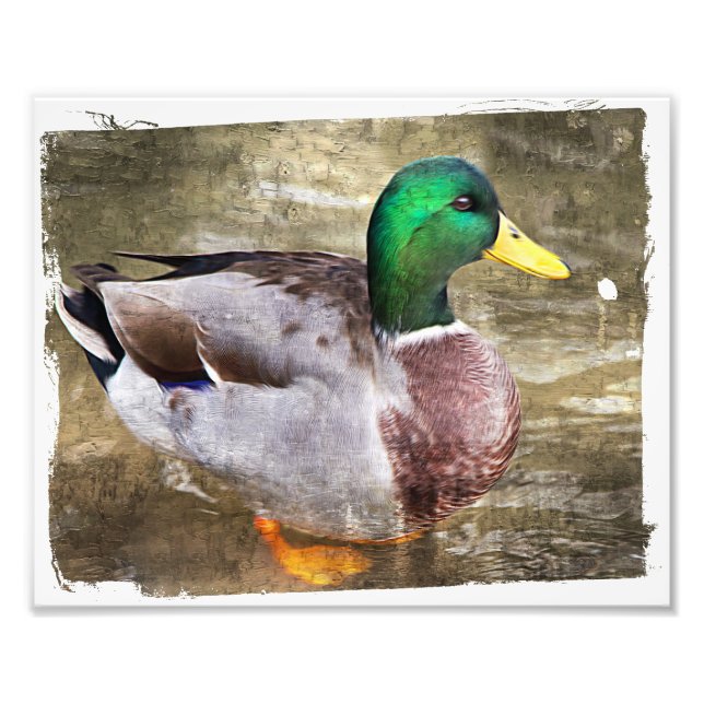 Portrait eines männlichen Stockwerks Fotodruck (Vorne)