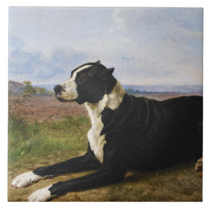 Portrait eines Mastiff Labrador Hundes (Rosa Bonhe Fliese