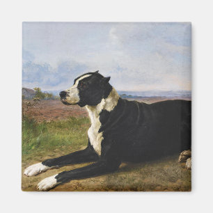 Portrait eines Mastiff Labrador Hundes (Rosa Bonhe Magnet