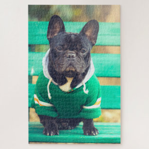Portrait eines Niedlichen französischen Bulldogist